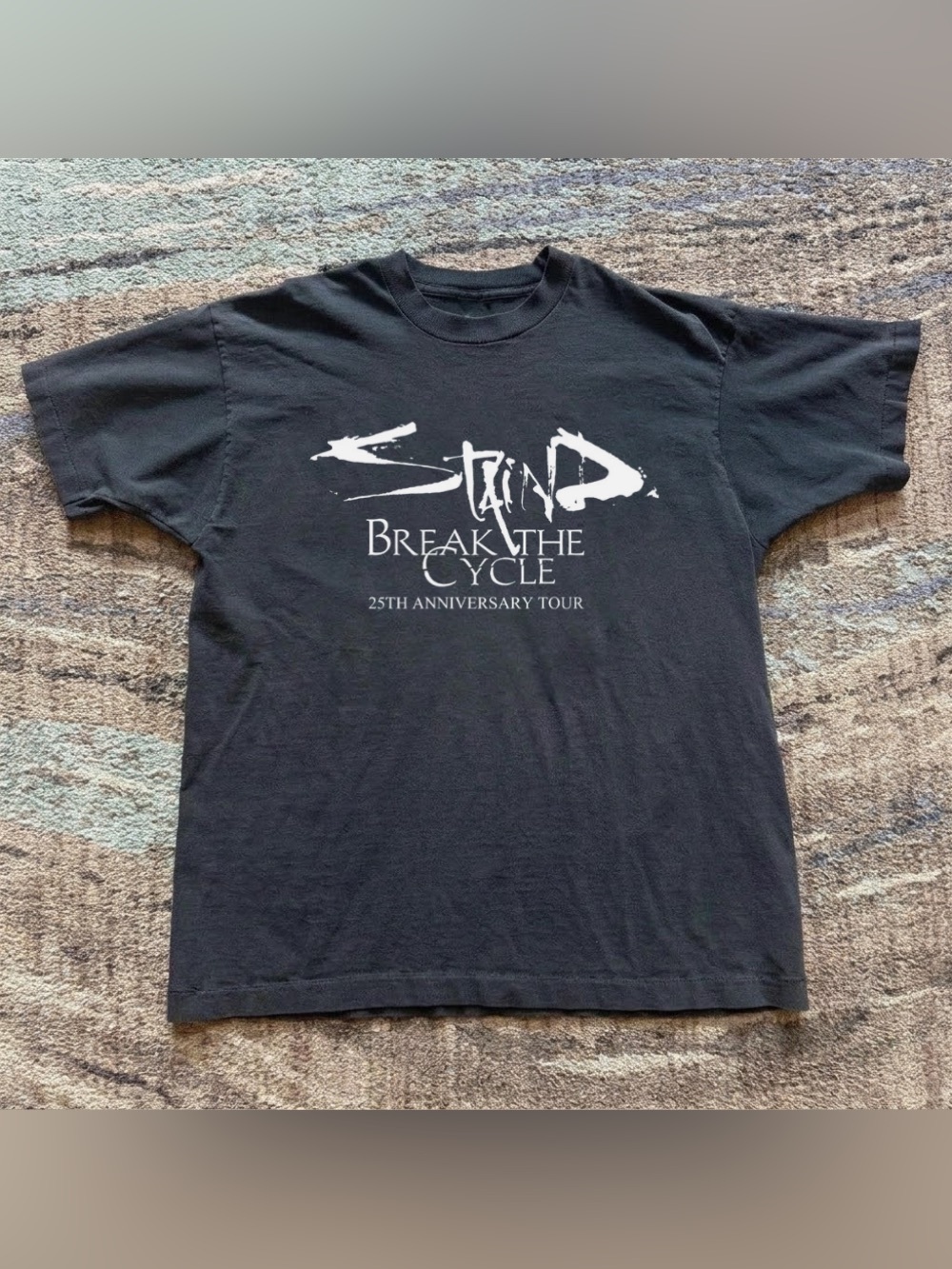 Stain Break The Cycle 25th Anniversary Tour Black Rock Graphic Tee